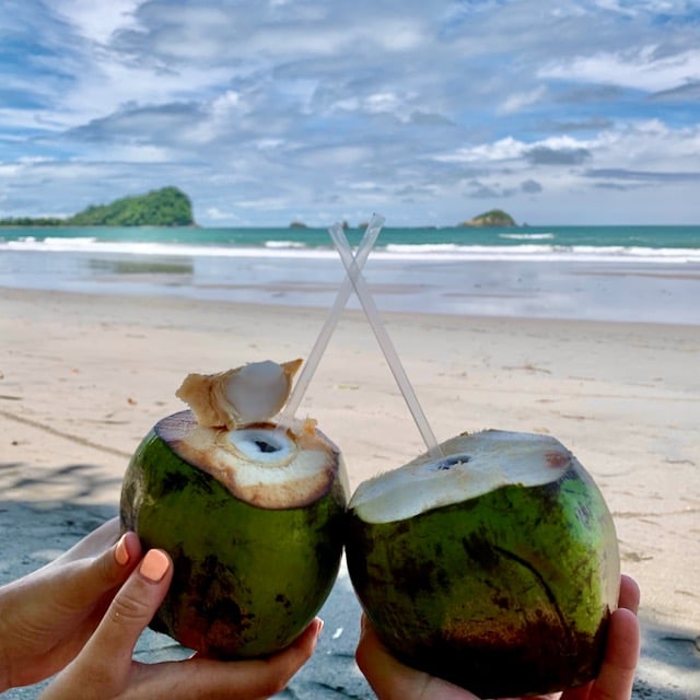 Coconuts in Manuel Antonio