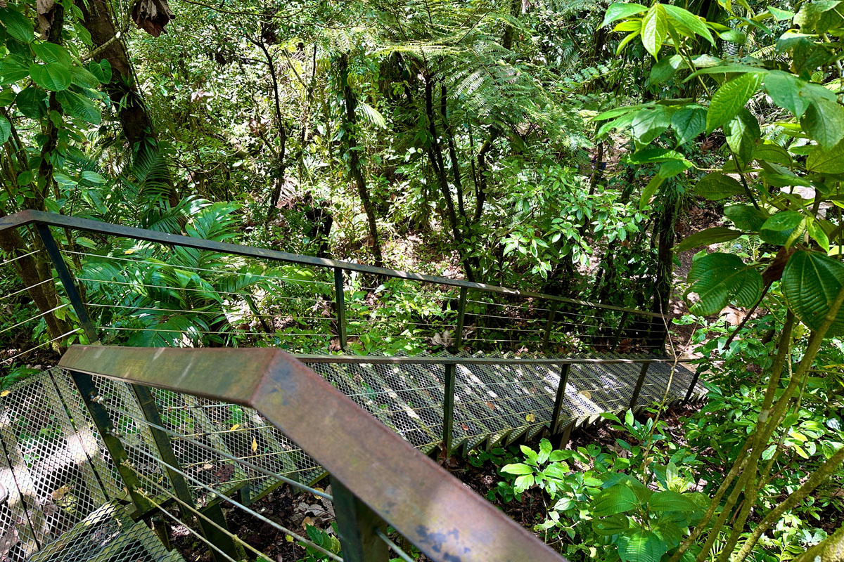 Stairs in Arenal Volcano National Park