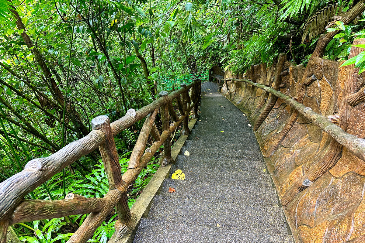 The stairs leading down to the waterfall