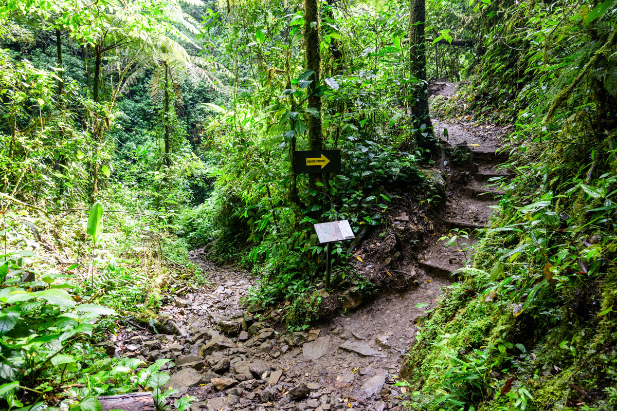 Hiking trail in El Tigre