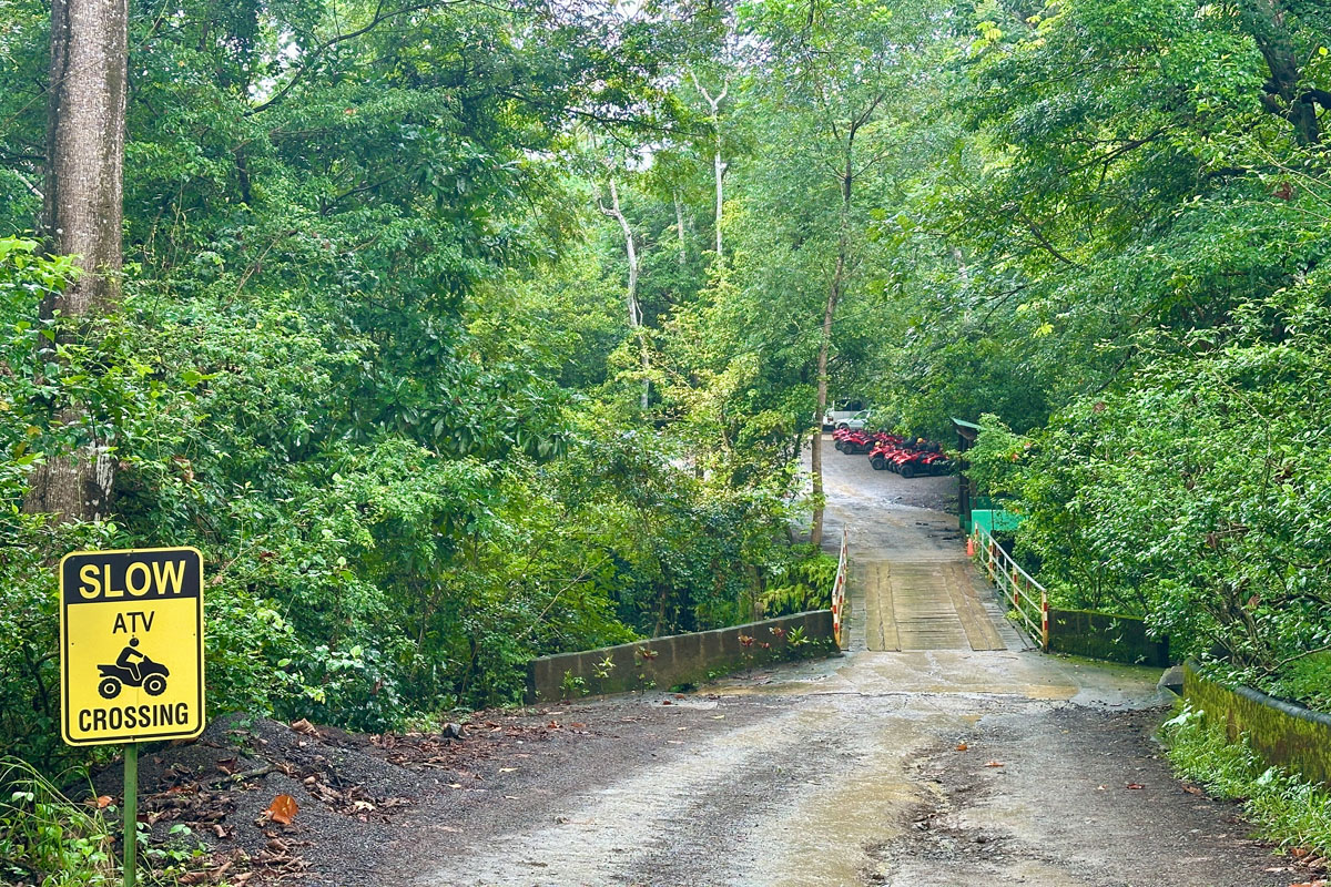 Congo Canopy Bridge