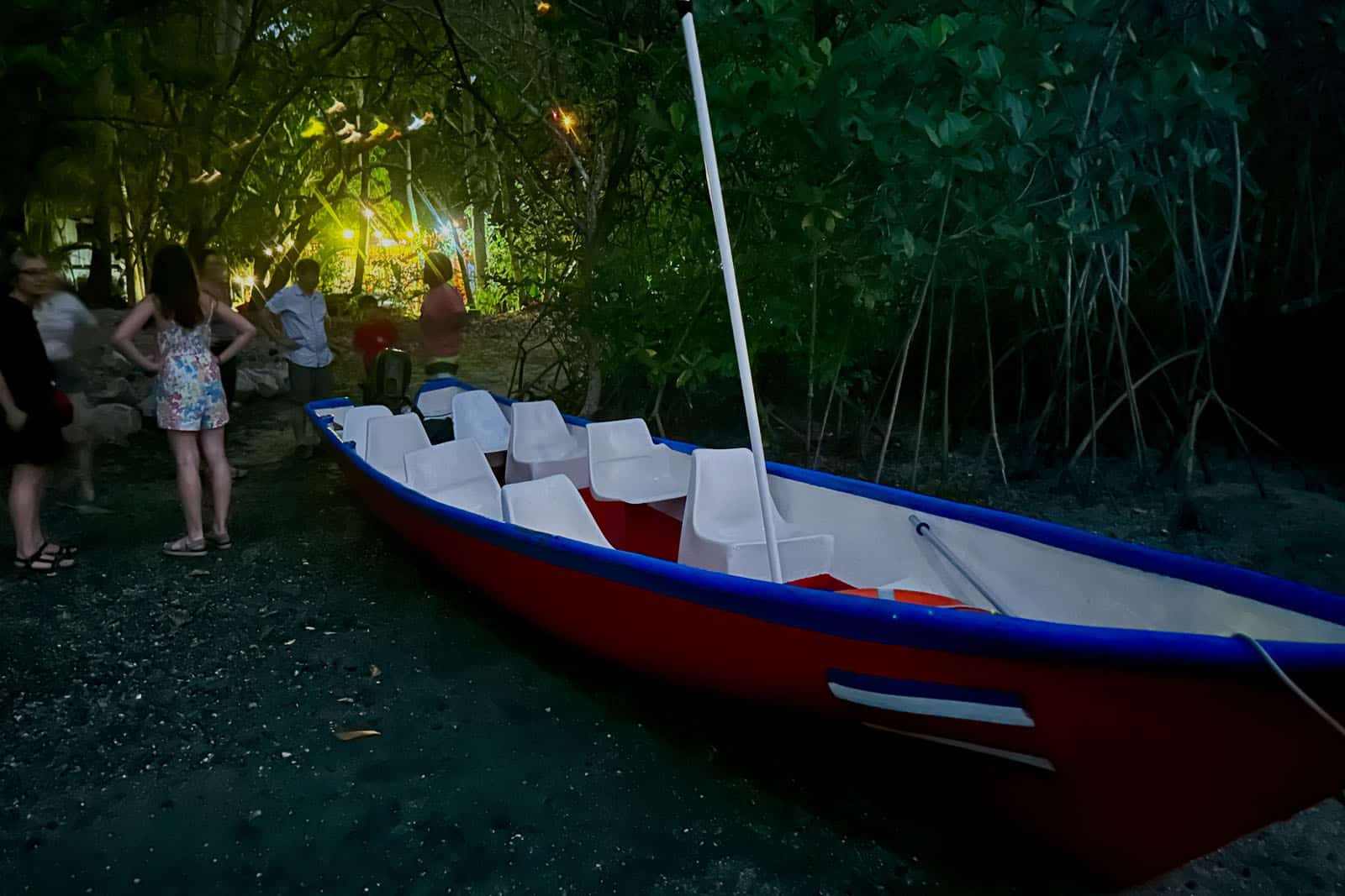 Paquera Bioluminescence Tour