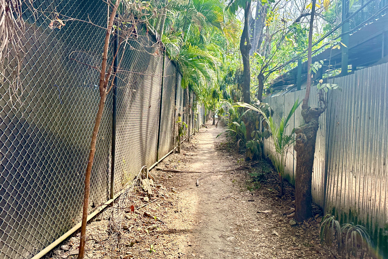 Beach path